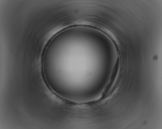 X0000096661133200802051212