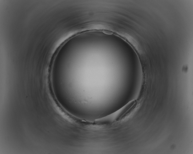X0000096661134200802051212