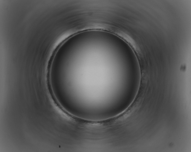 X0000096661135200802051212