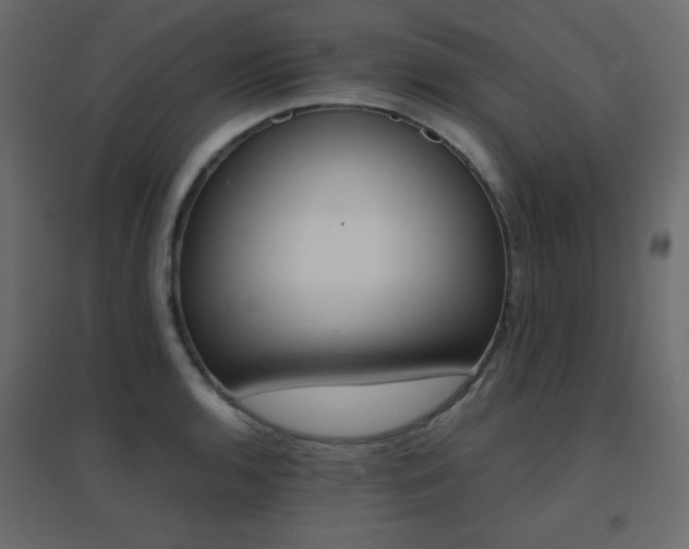 X0000096661136200802051212