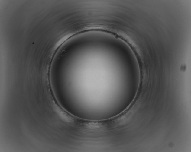 X0000096661137200802051212
