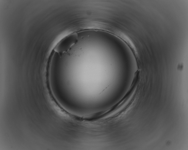 X0000096661138200802051212