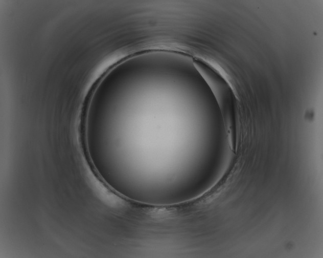 X0000096661139200802051212