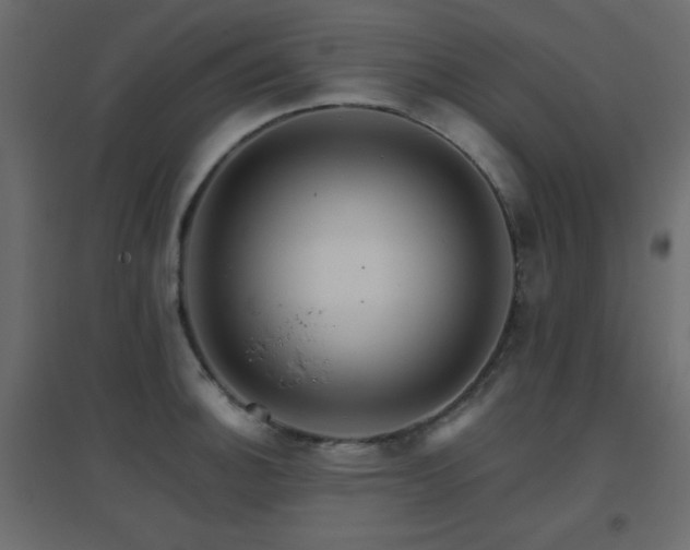 X0000096661140200802051212