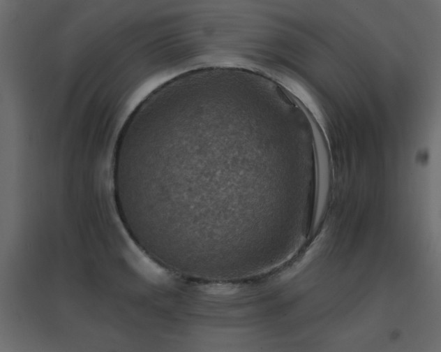 X0000096661141200802051212