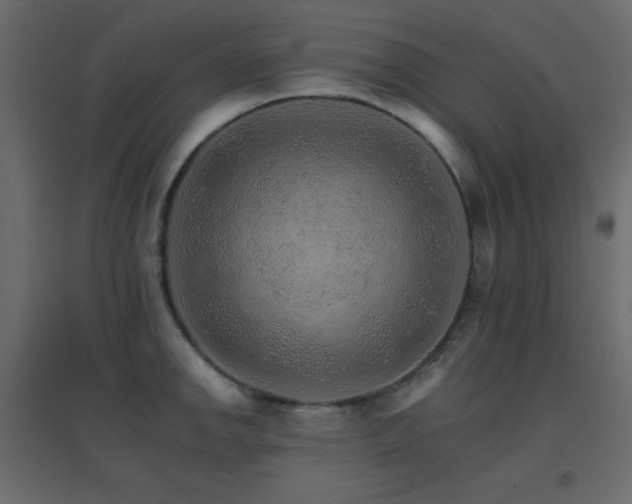 X0000096661142200802051212