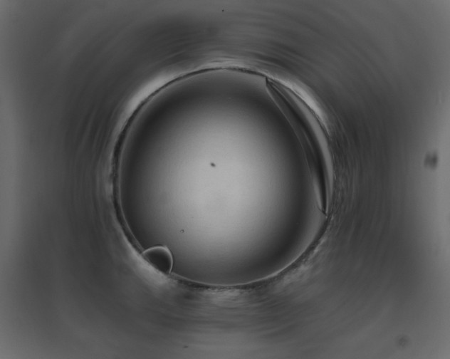 X0000096661143200802051212