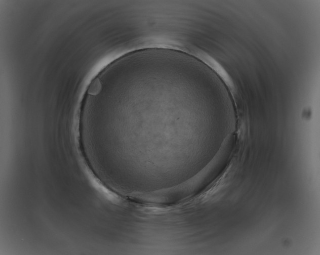 X0000096661144200802051212
