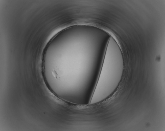 X0000096661147200802051212