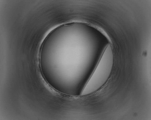 X0000096661148200802051212