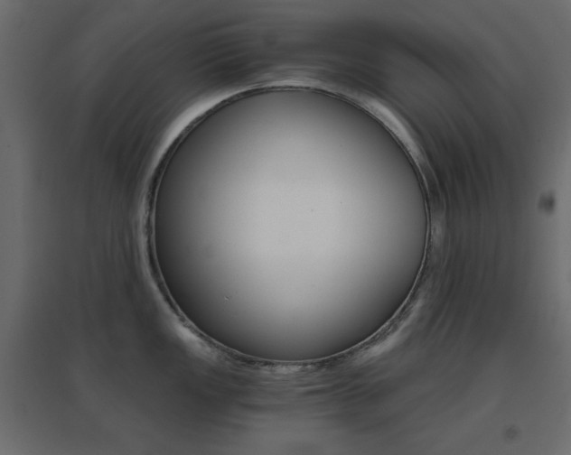 X0000096661149200802051212