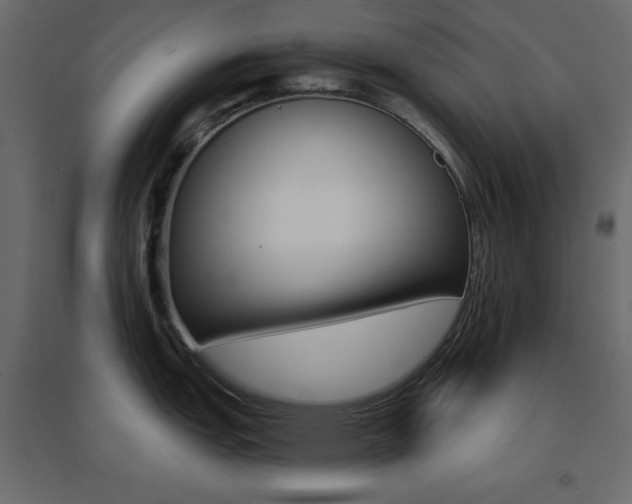 X0000096661151200802051212