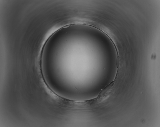 X0000096661152200802051212
