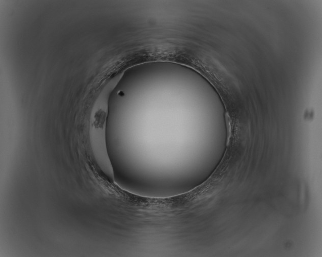 X0000096661153200802051212