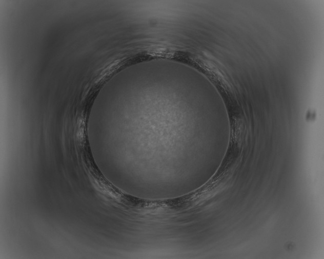 X0000096661154200802051212