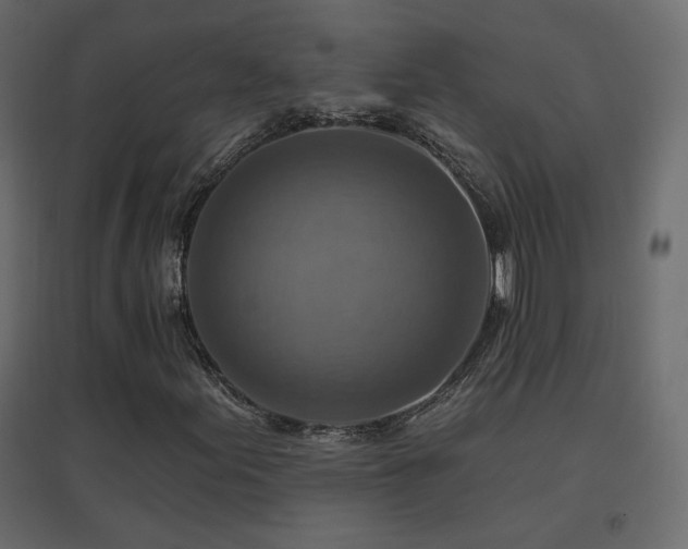 X0000096661155200802051212