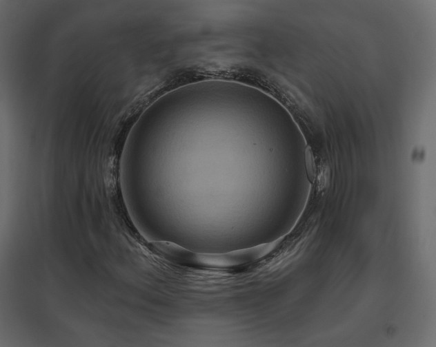 X0000096661156200802051212
