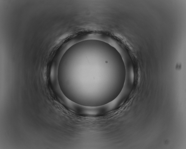 X0000096661157200802051212