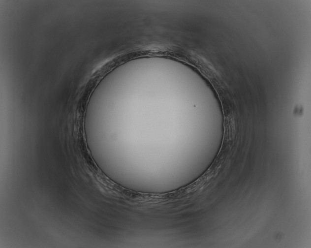 X0000096661158200802051211