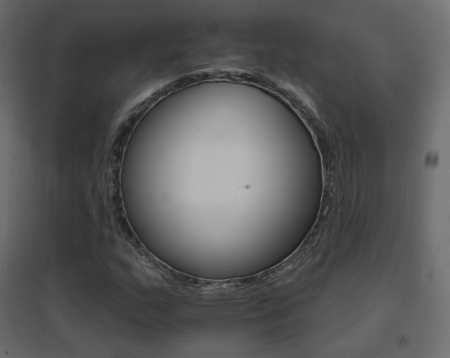 X0000096661159200802051211