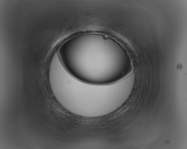 X0000096661160200802051211