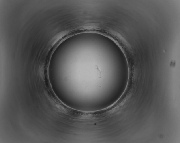 X0000096661162200802051211
