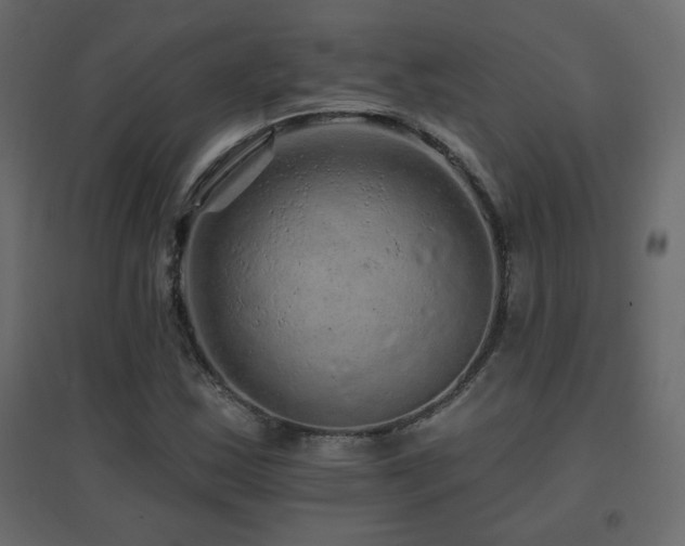 X0000096661163200802051211