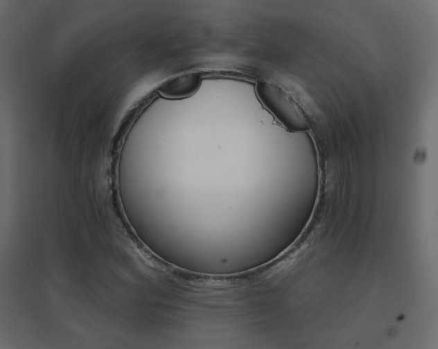 X0000096661164200802051211