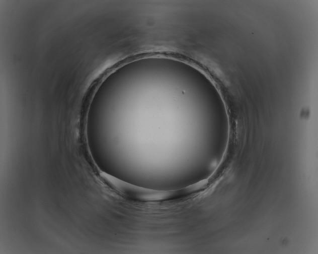 X0000096661165200802051211