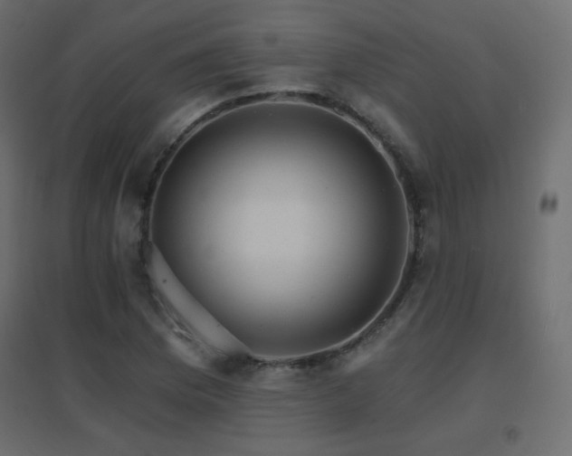 X0000096661169200802051211