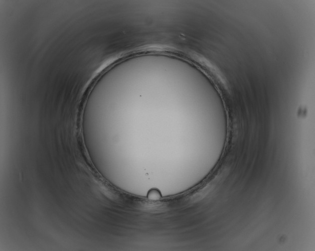 X0000096661170200802051211