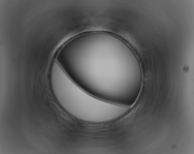 X0000096661173200802051211