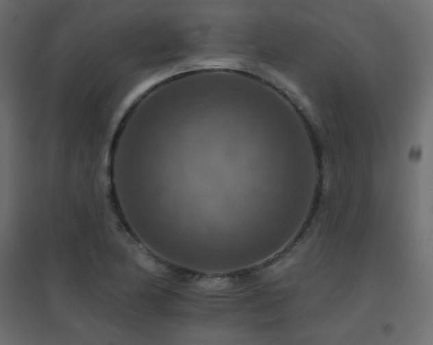 X0000096661174200802051211
