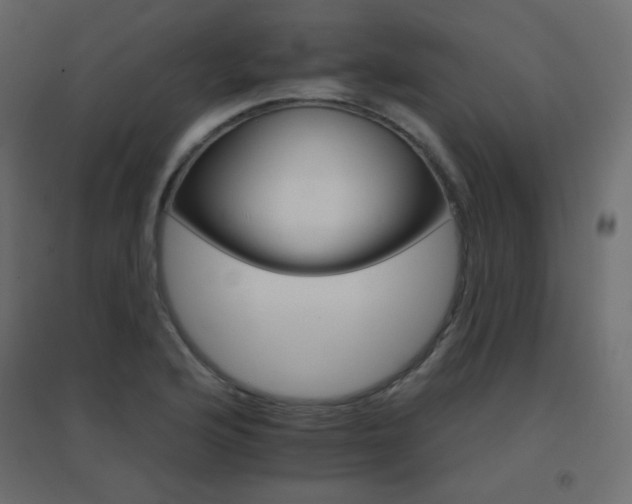 X0000096661176200802051211