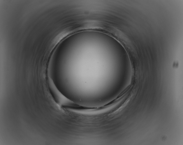 X0000096661177200802051211