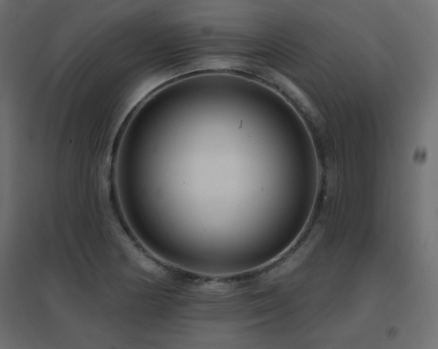 X0000096661178200802051211
