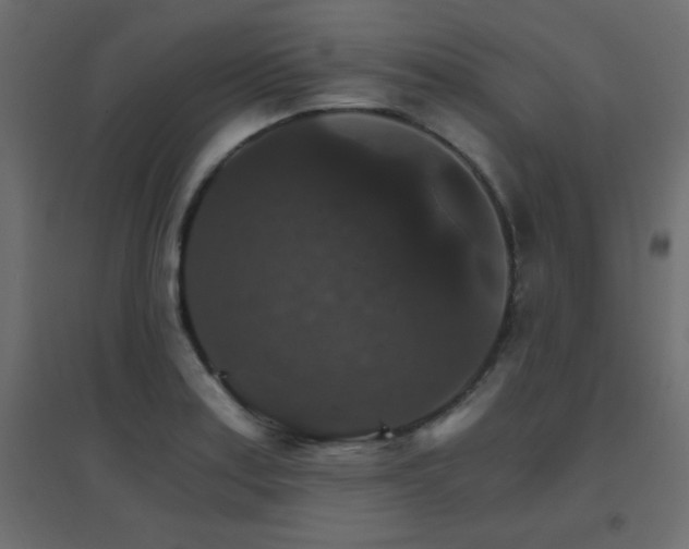 X0000096661179200802051211