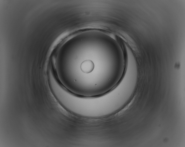 X0000096661180200802051211