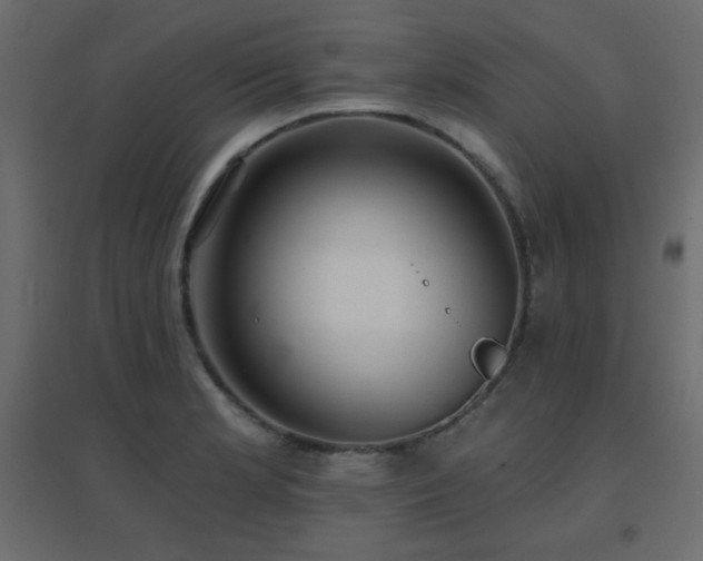X0000096661181200802051211