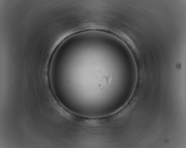 X0000096661182200802051211