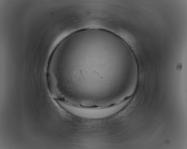 X0000096661183200802051211