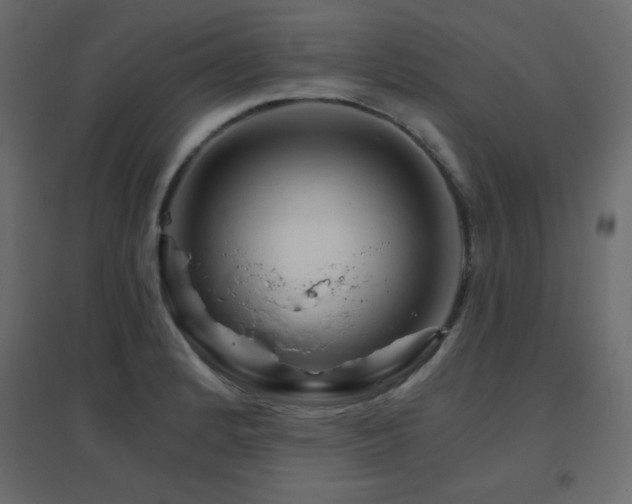 X0000096661184200802051211