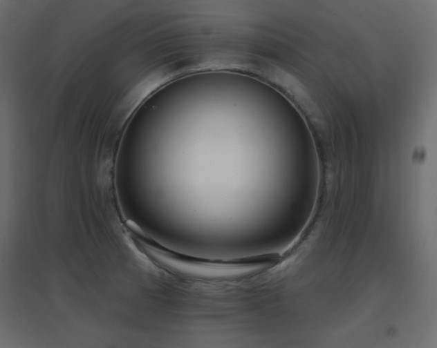 X0000096661185200802051211