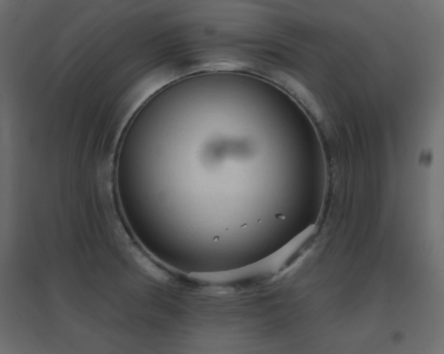 X0000096661186200802051211