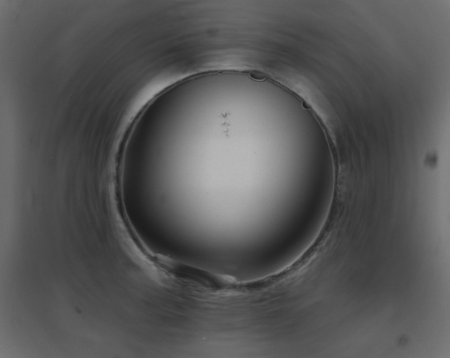 X0000096661187200802051211