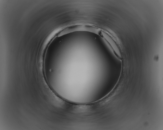 X0000096661188200802051211