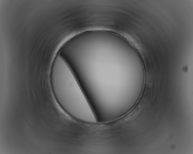 X0000096661189200802051211