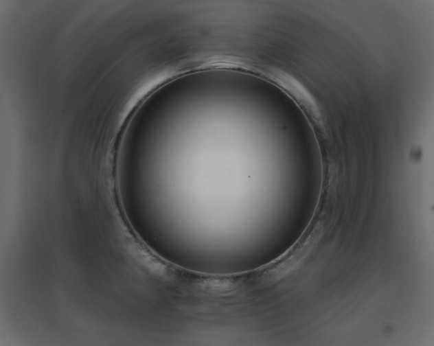 X0000096661190200802051211