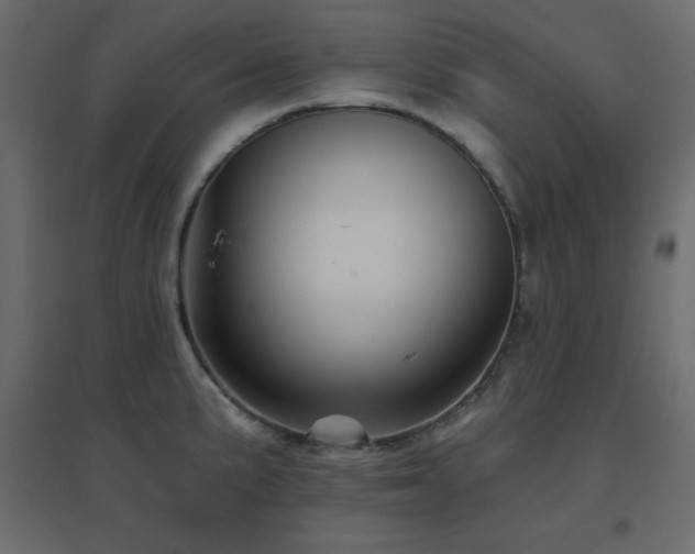 X0000096661191200802051211