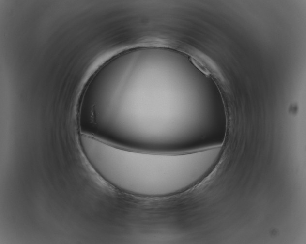 X0000096661192200802051211